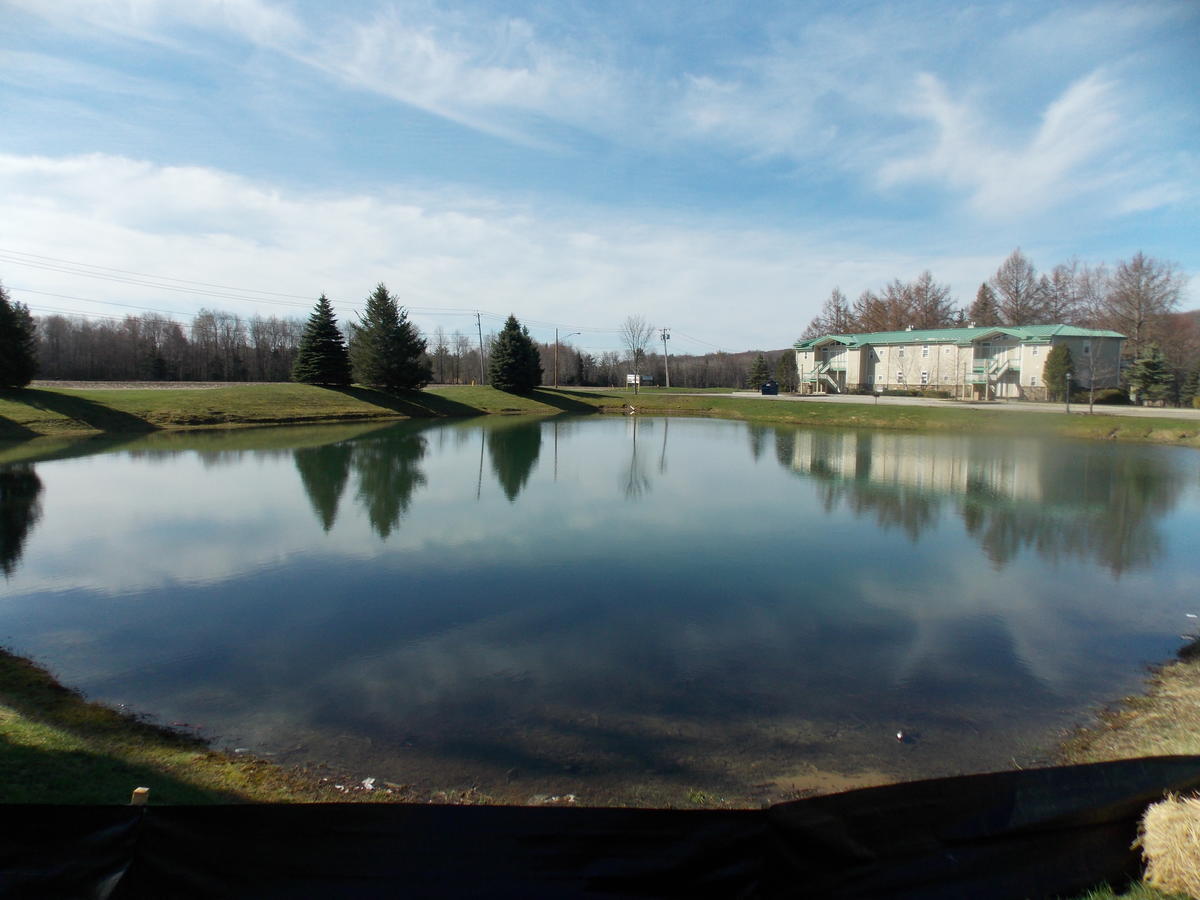 Fairway Suites At The Peak French Creek Екстериор снимка